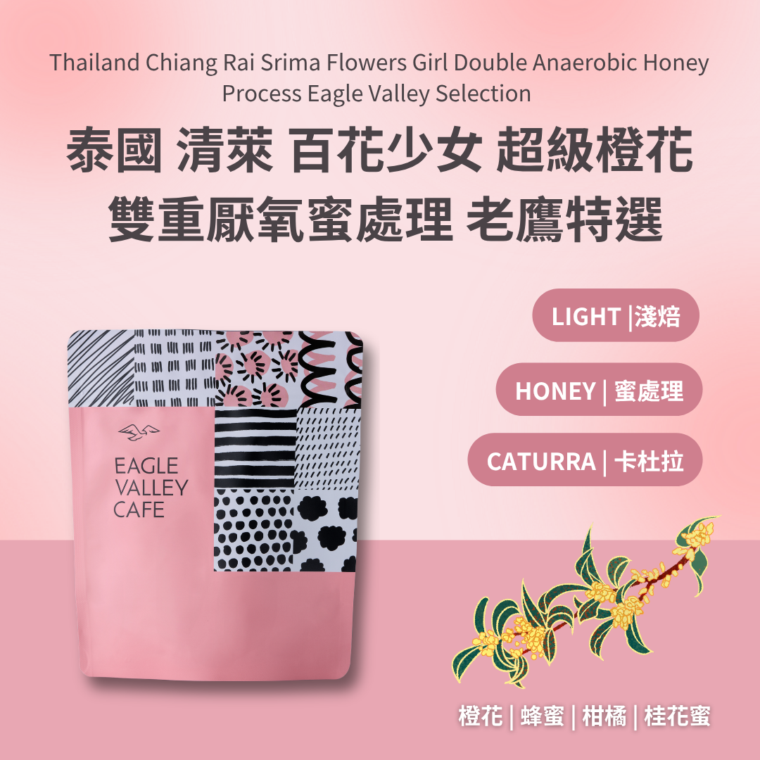 泰國 清萊 百花少女 超級橙花 雙重厭氧蜜處理 老鷹特選 淺焙 咖啡豆