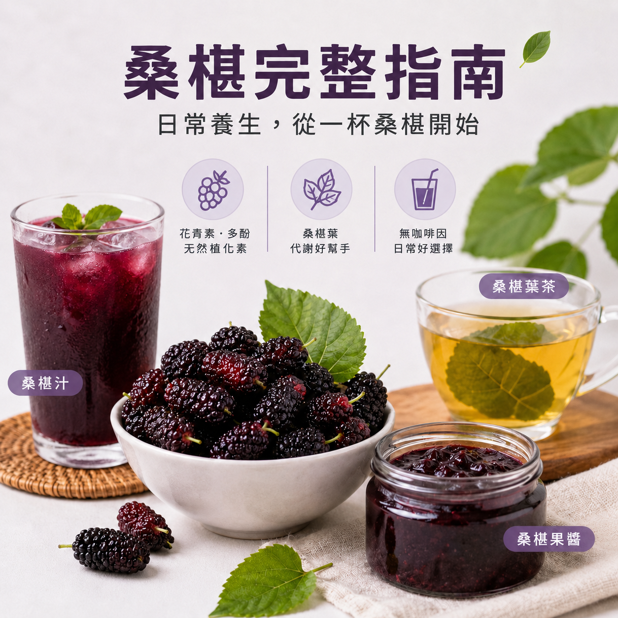 桑椹完整指南：從桑椹汁、桑椹葉到桑椹果醬的日常養生吃法
