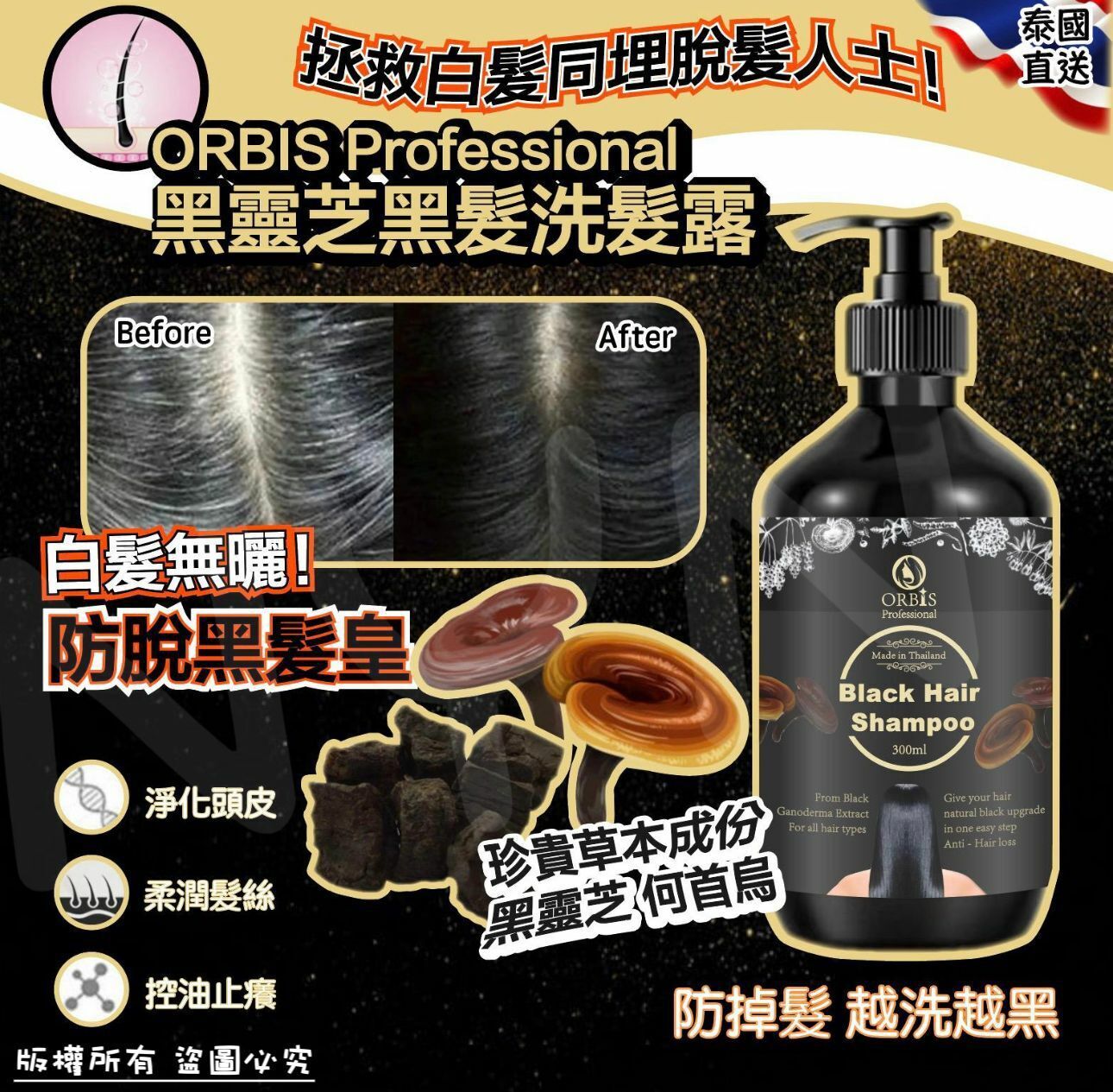 (現貨) 泰國 ORBIS Professional 黑靈芝黑髮洗髮露 300ml
