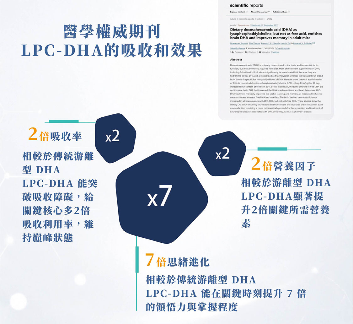 國際醫學期刊文獻證明,LPC-DHA相較游離DHA能給予大腦多2倍吸收率、7倍記憶力、2倍營養因子