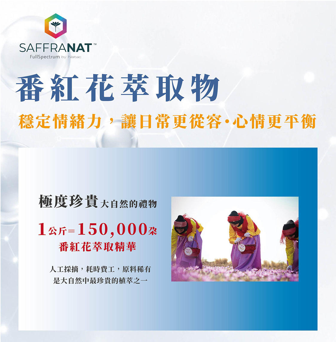 1公斤=150,000朵番紅花萃取的珍貴原物料,能維持腦內血清素水平及神經健康,是自然中的珍稀植萃
