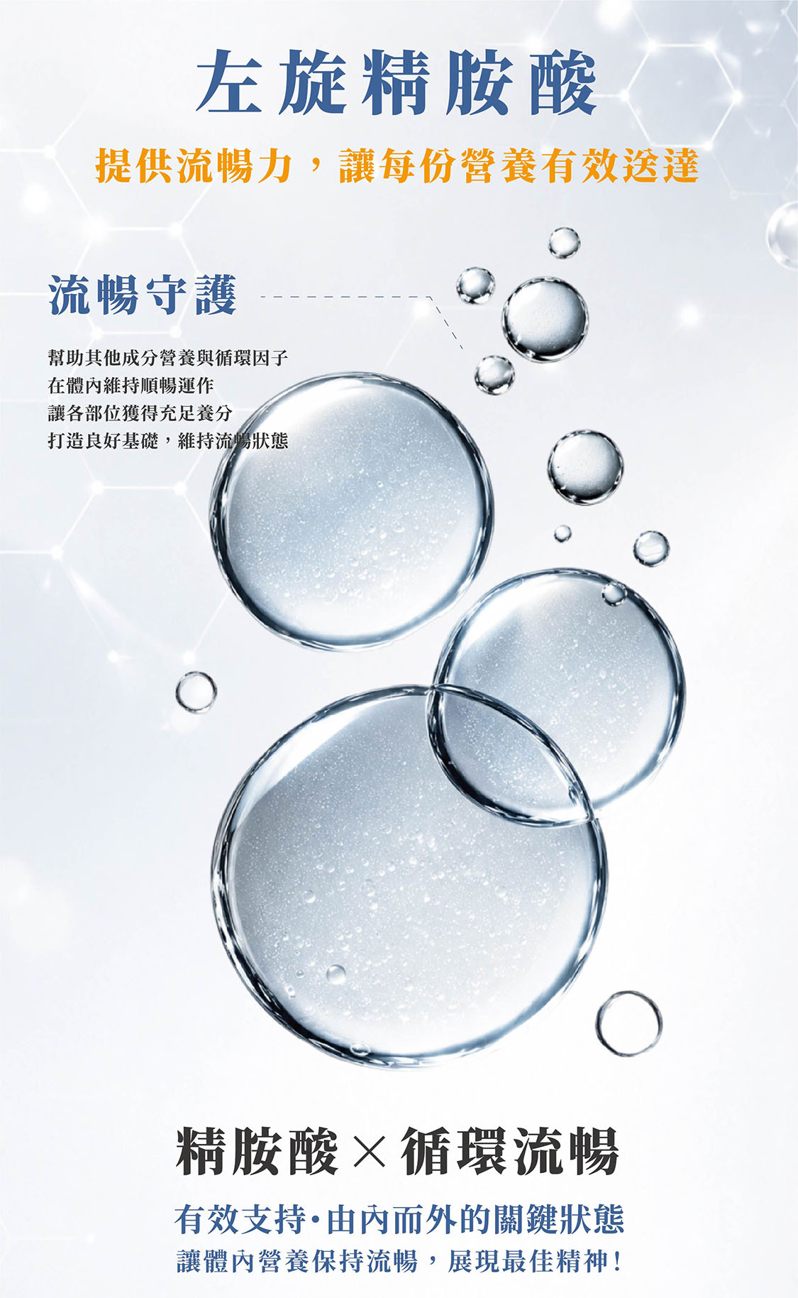 精胺酸高抗氧化物,幫助血液循環,是大腦血氧充足
