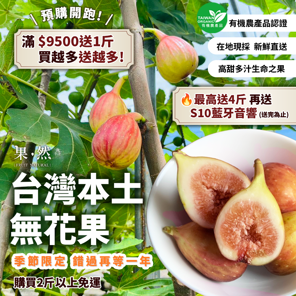 【Fruit Natural果然】台灣本土無花果｜在地小農現採 高甜多汁生命之果