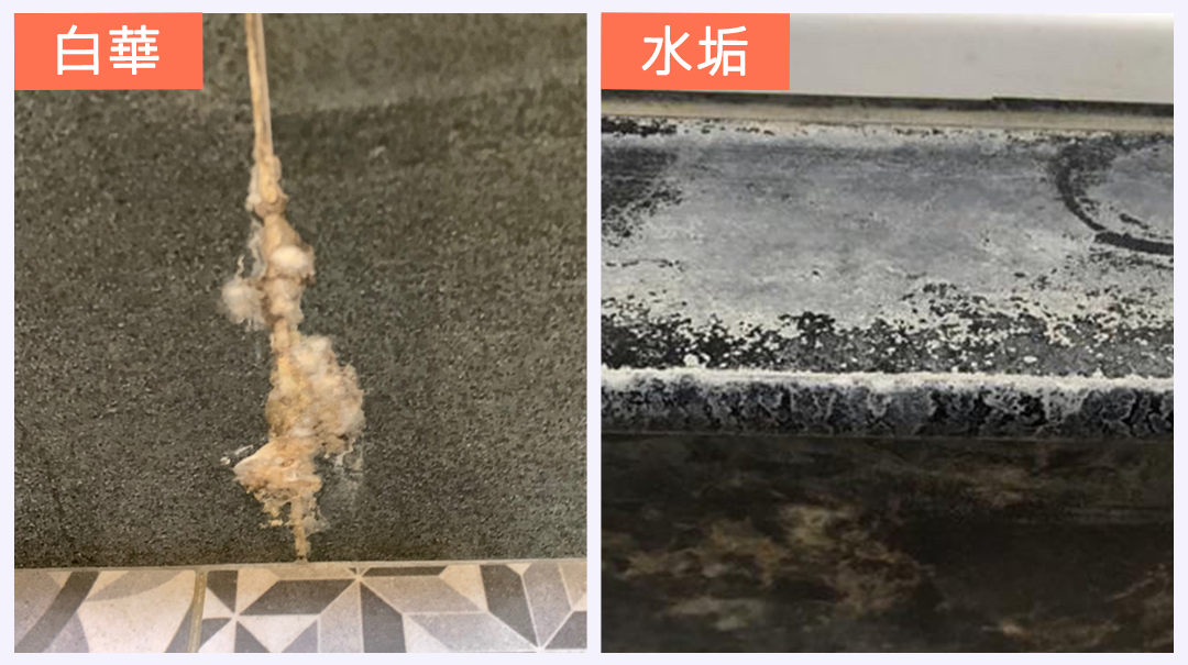 白華與水垢差異比較圖