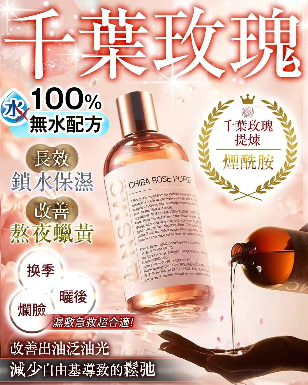 千葉玫瑰  T259（2-3星期寄出）