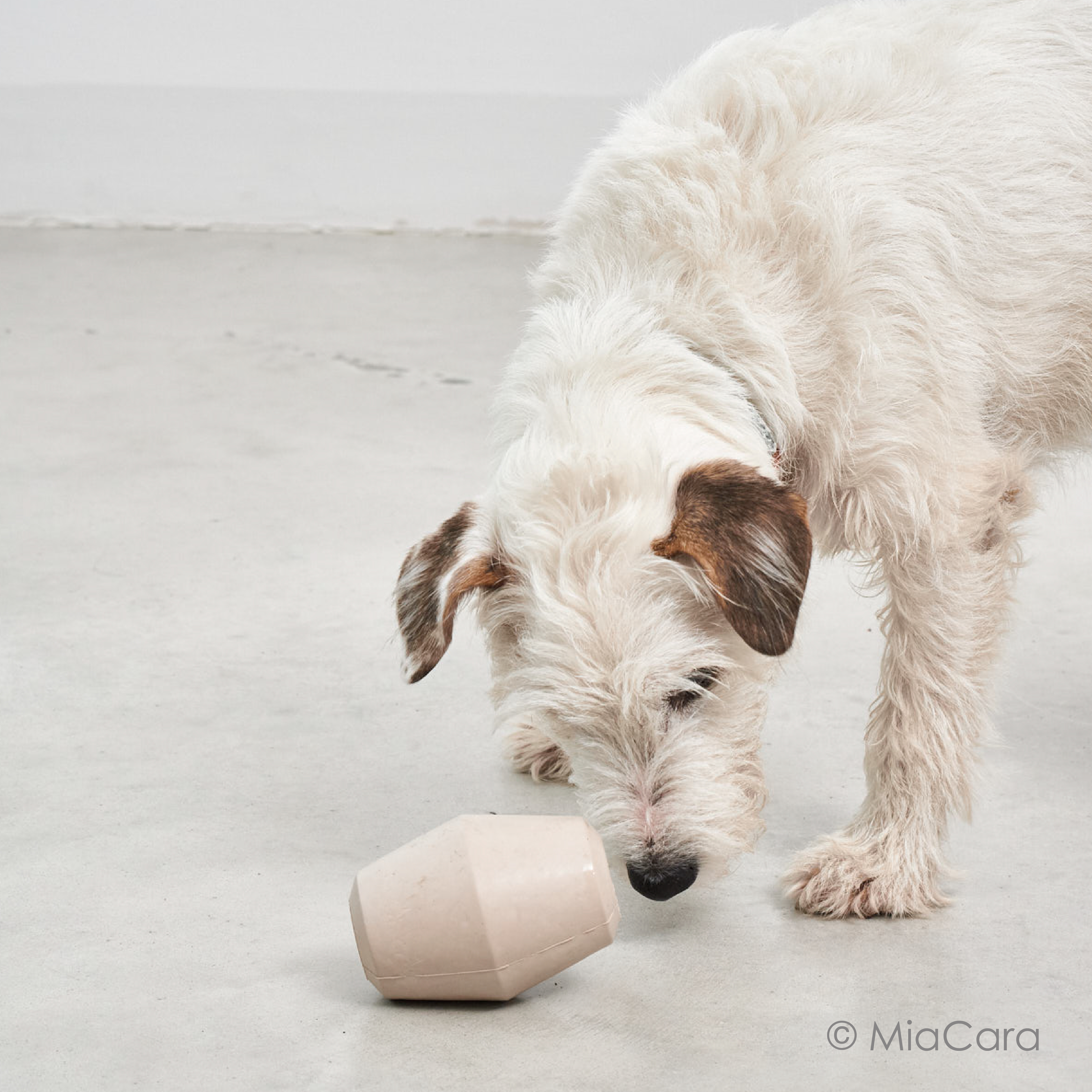 Cono 漏食玩具球​｜德國 ​MiaCara