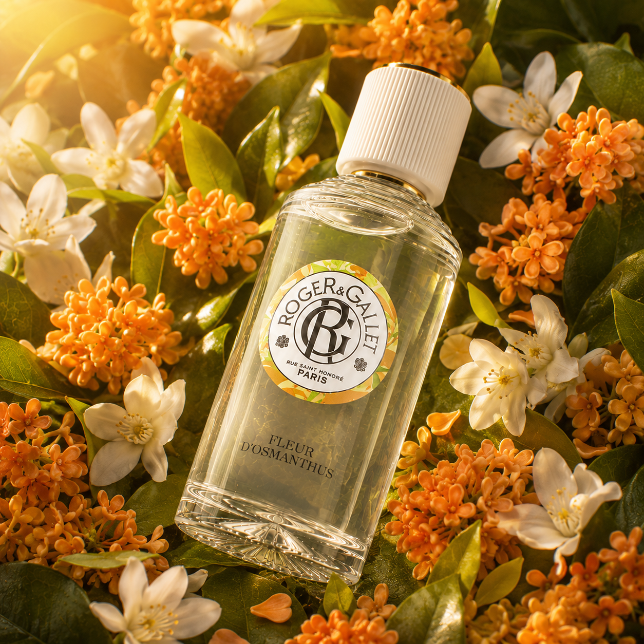 Roger & Gallet 夢迴花園 琥珀金桂淡香水