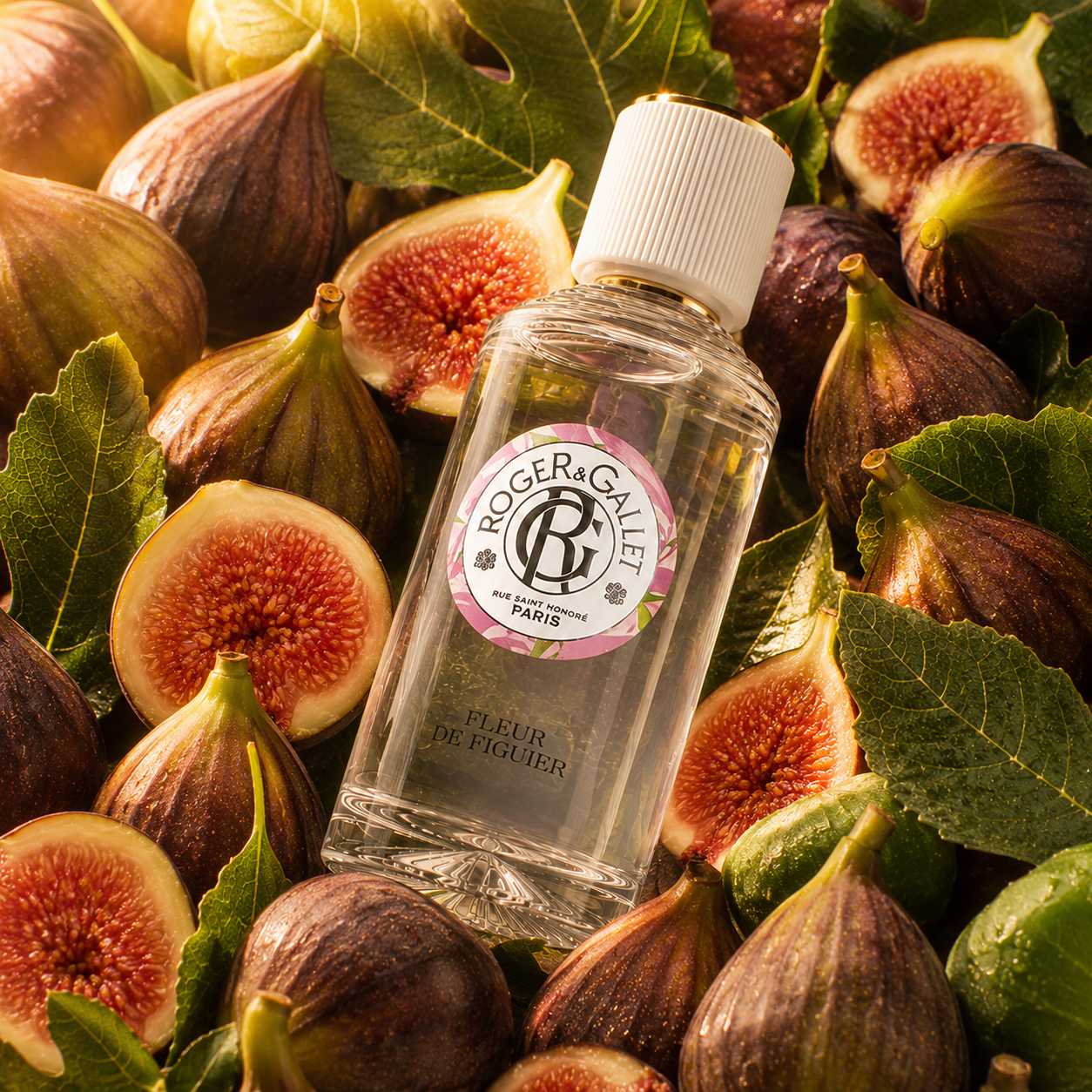 Roger & Gallet 夢迴花園 地中海無花果淡香水