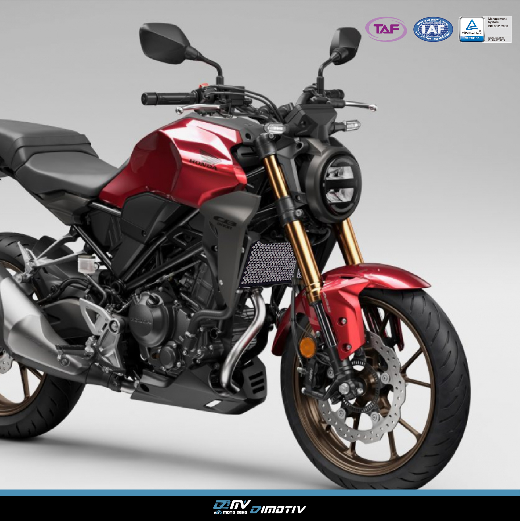 【DIMOTIV】HONDA CB300R 18-26 蜂巢式水箱護網