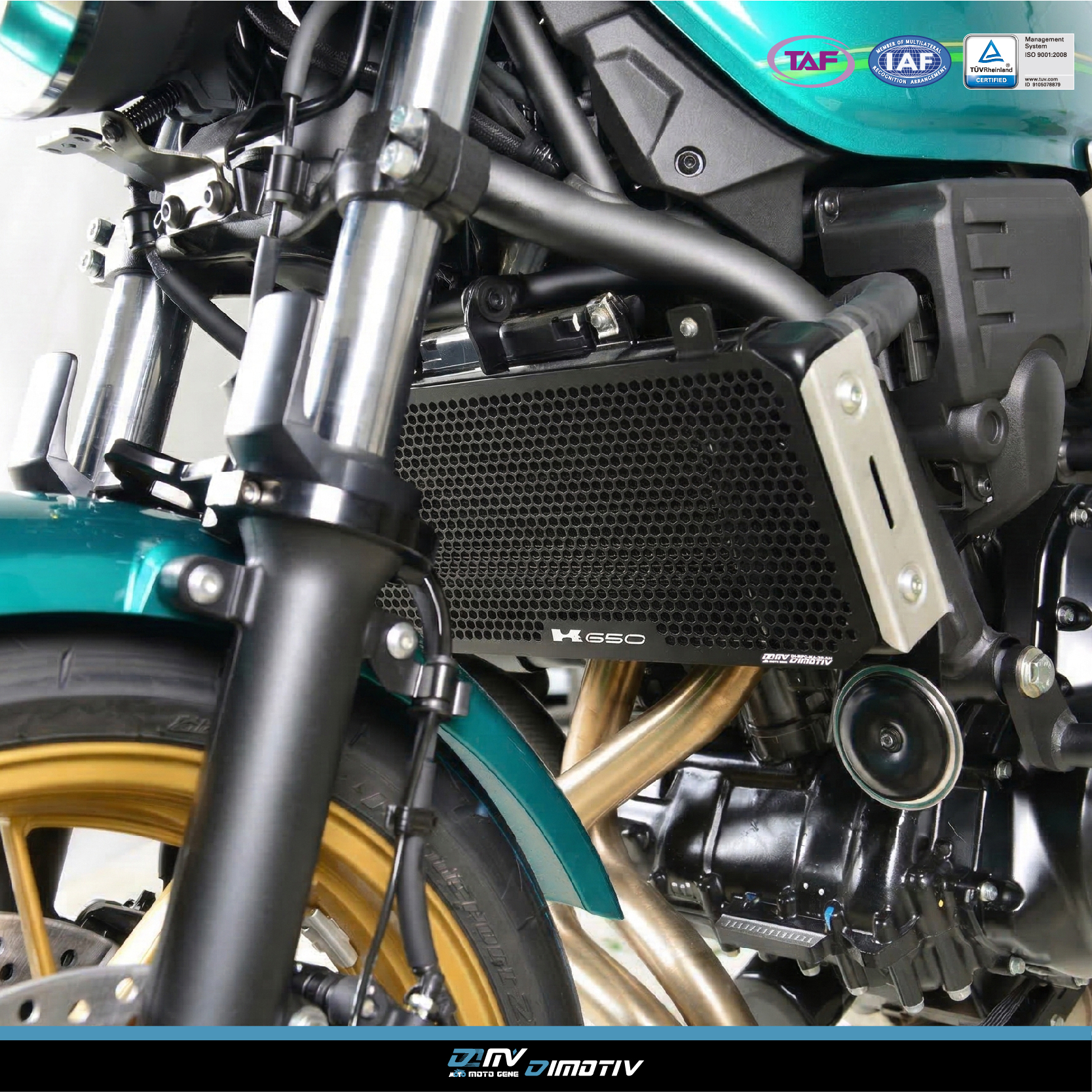 【DIMOTIV】KAWASAKI Z650RS 22-26 蜂巢式水箱護網