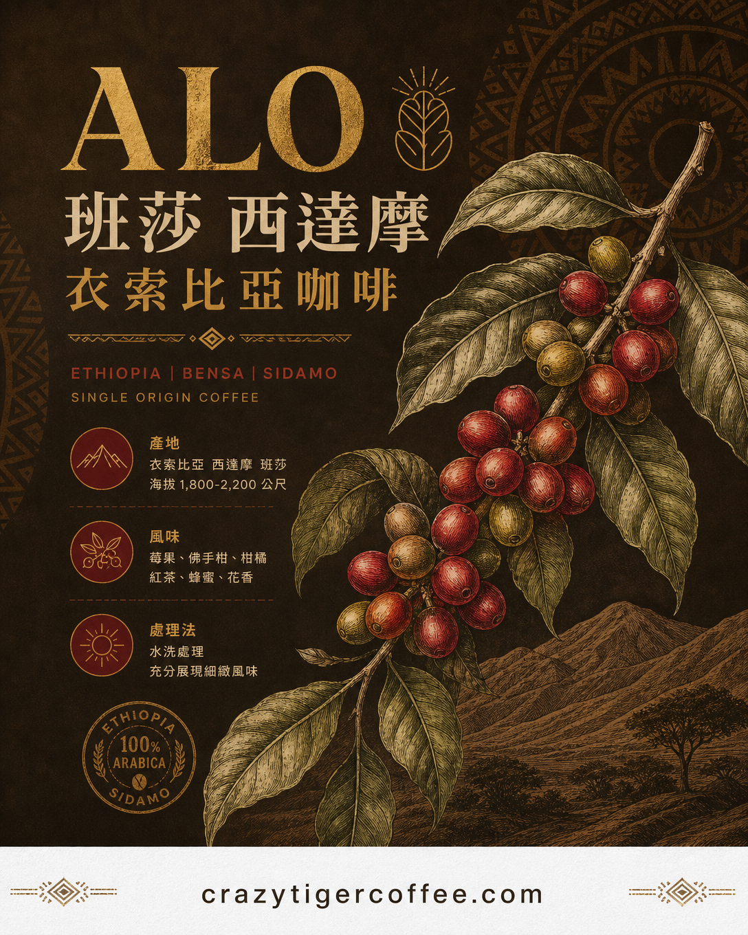 埃塞俄比亞 ALO Mosto 厭氧日晒 74158 G1