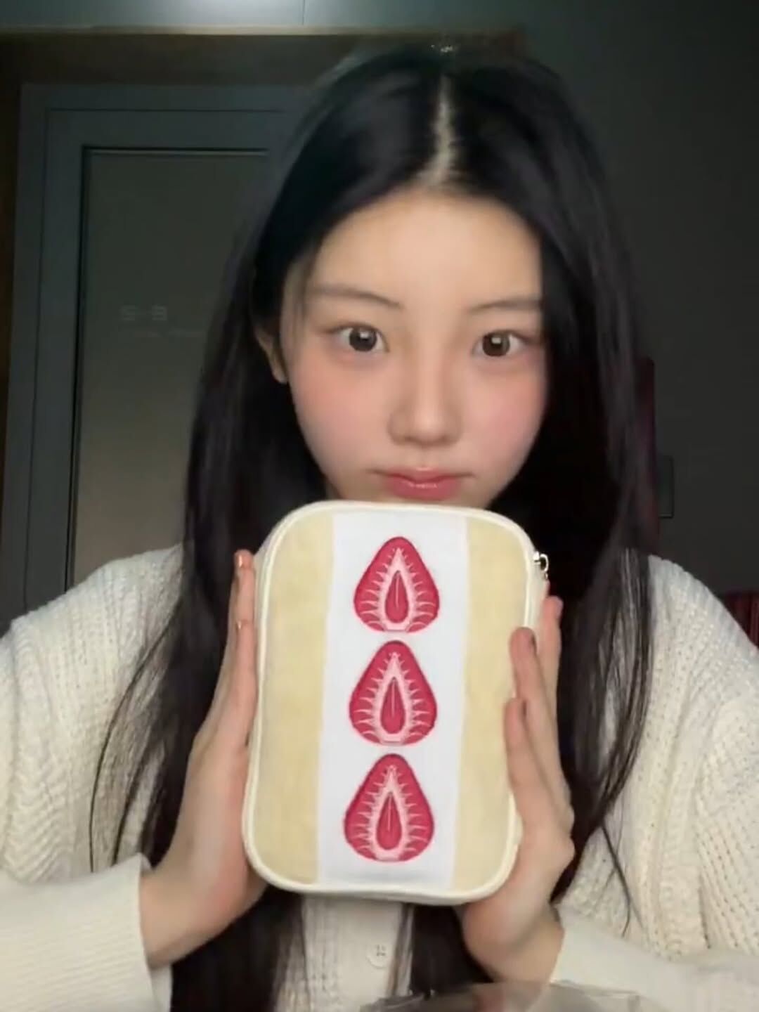 【預購】韓國代購 Katze 草莓化妝包 李沅禧同款 安宥真同款