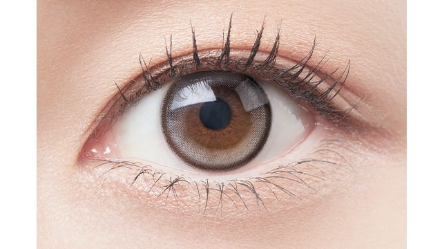 Belleme 1 Day by Eye Coffret Dewy Gray 每日即棄彩色隱形眼鏡｜每盒30片