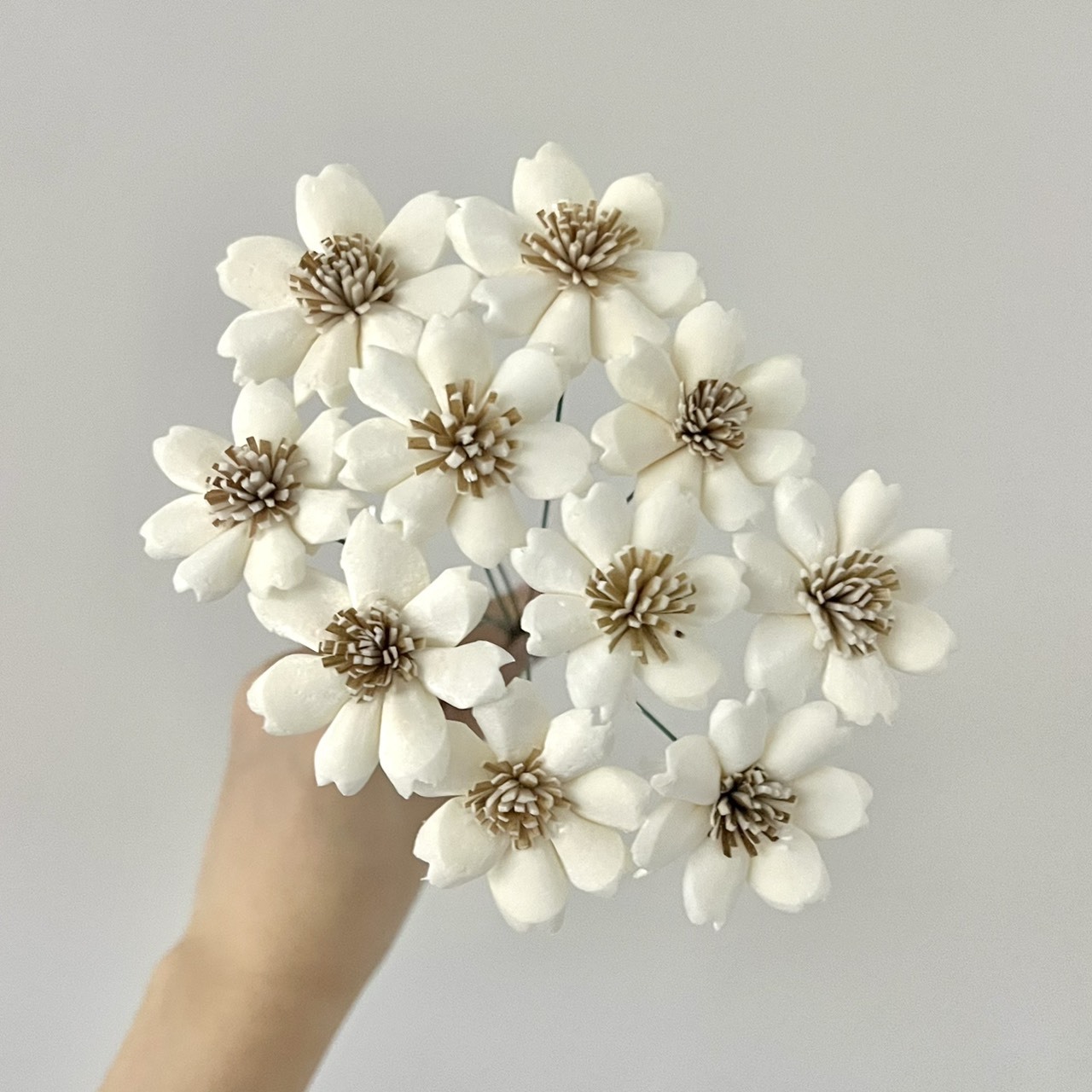 泰國索拉 木片櫻花 4CM <十支一把> (高品質)