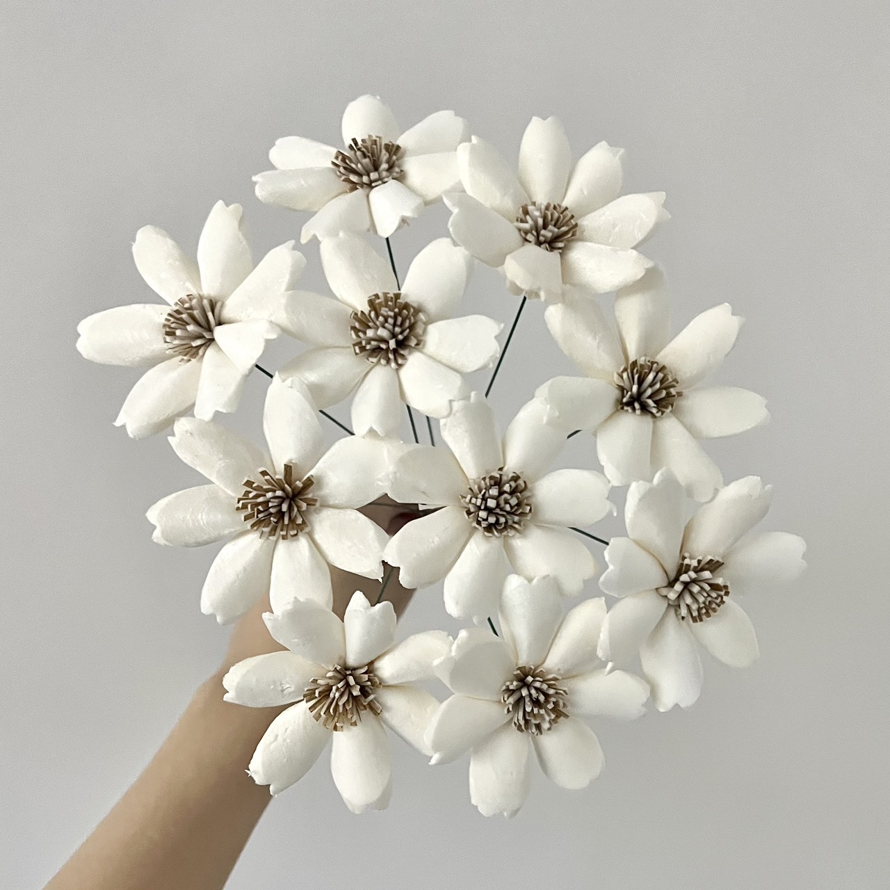 泰國索拉 木片櫻花6CM <十支一把> (高品質)
