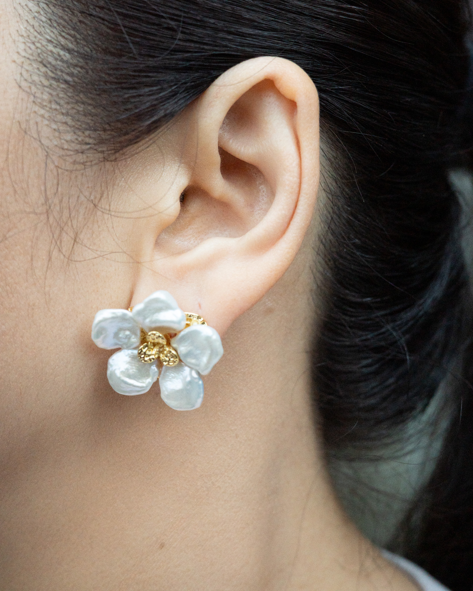 Camélia 山茶花
