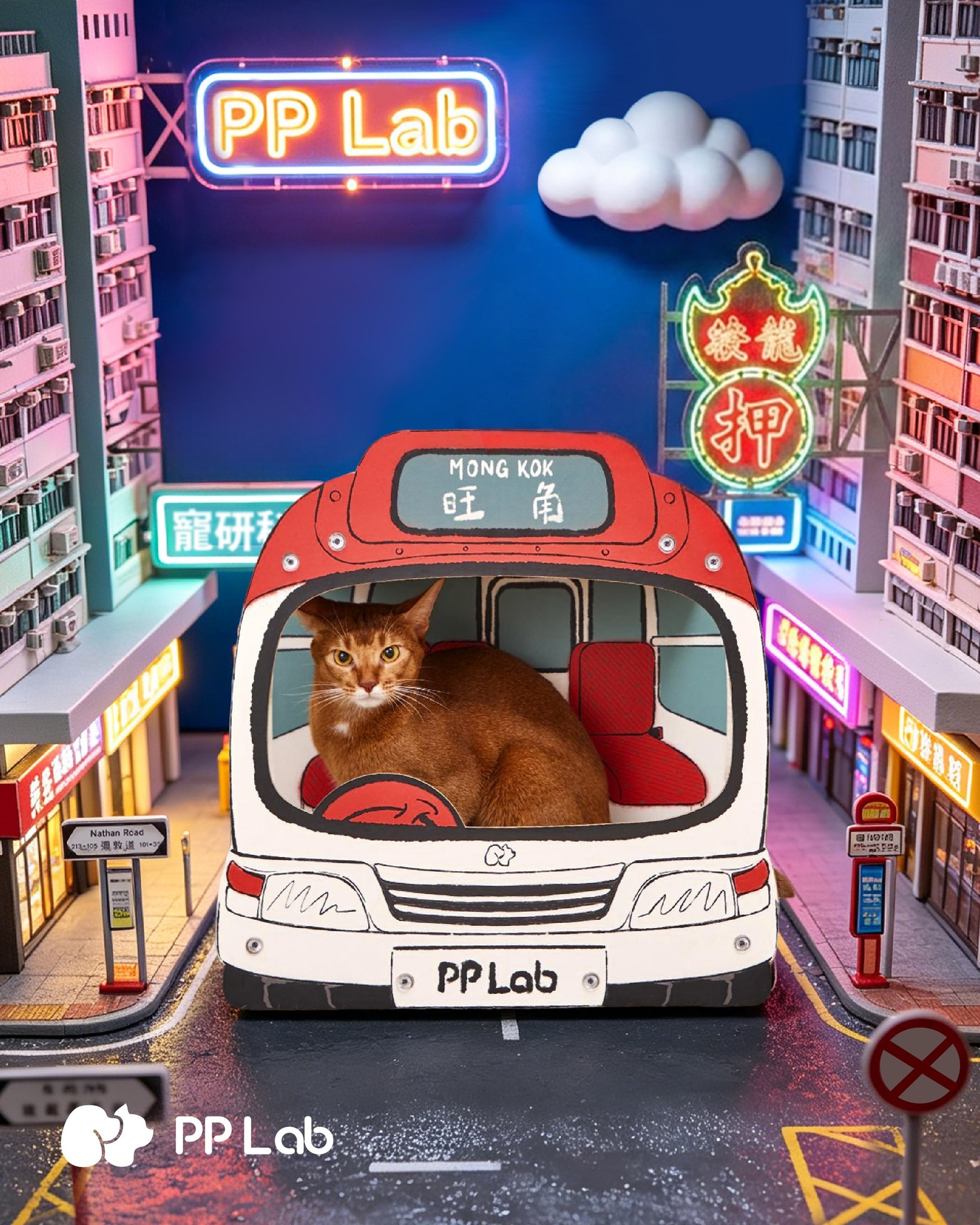 PP LAB 香港小巴貓抓板