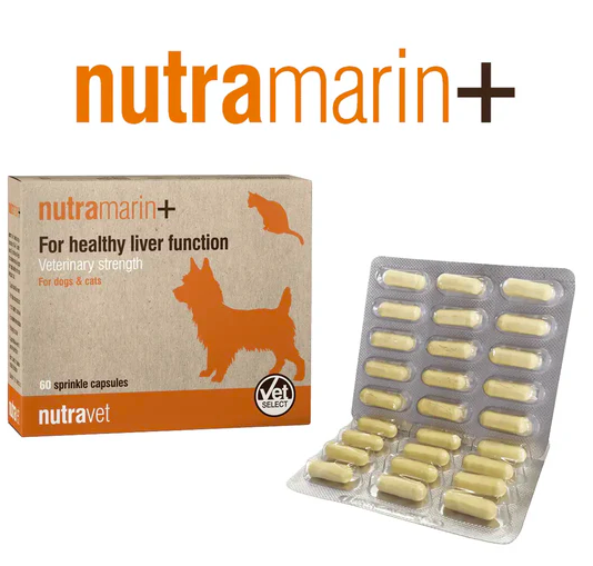Nutravet -Nutramarin+ SAMe 100mg肝臟護理膠囊 (貓狗適用) 每盒60粒