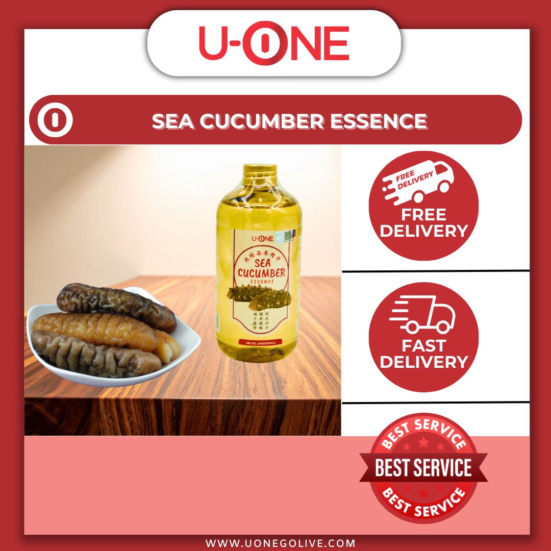 U-ONE | Malaysia | Sea Cucumber Essence | 300ml | Nutritional Drinking