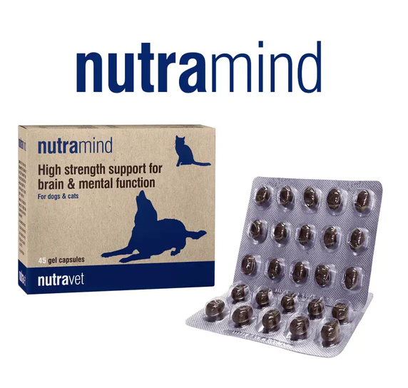 Nutravet -Nutramind 腦部營養膠囊 (貓狗適用) 每盒 45粒裝