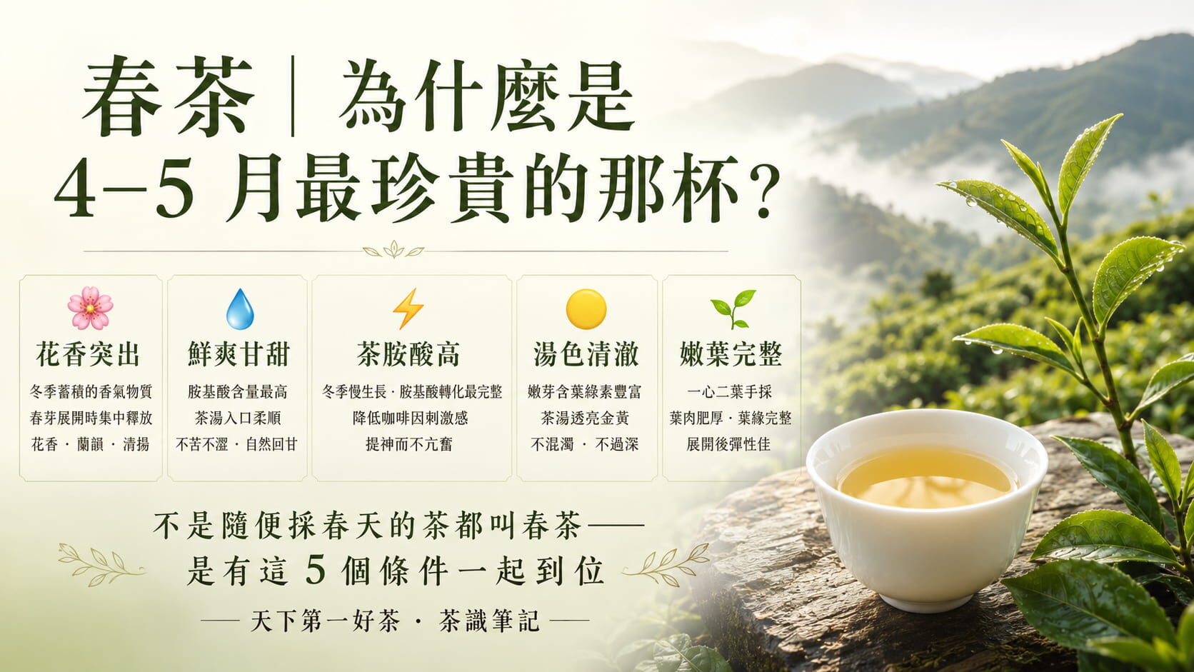 春茶五大特色光譜圖,花香突出、鮮爽甘甜、茶胺酸高、湯色清澈、嫩葉完整