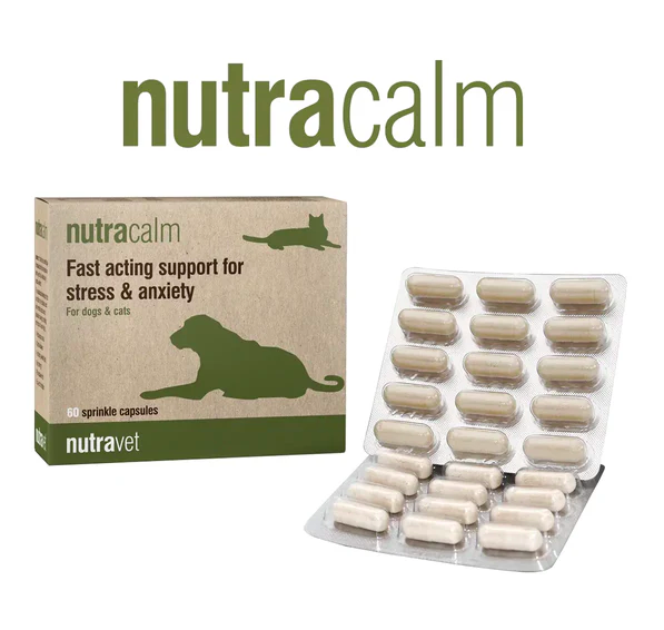Nutravet - 寵物情緒/行為護理補充膠囊（貓狗適用) 每盒15粒裝