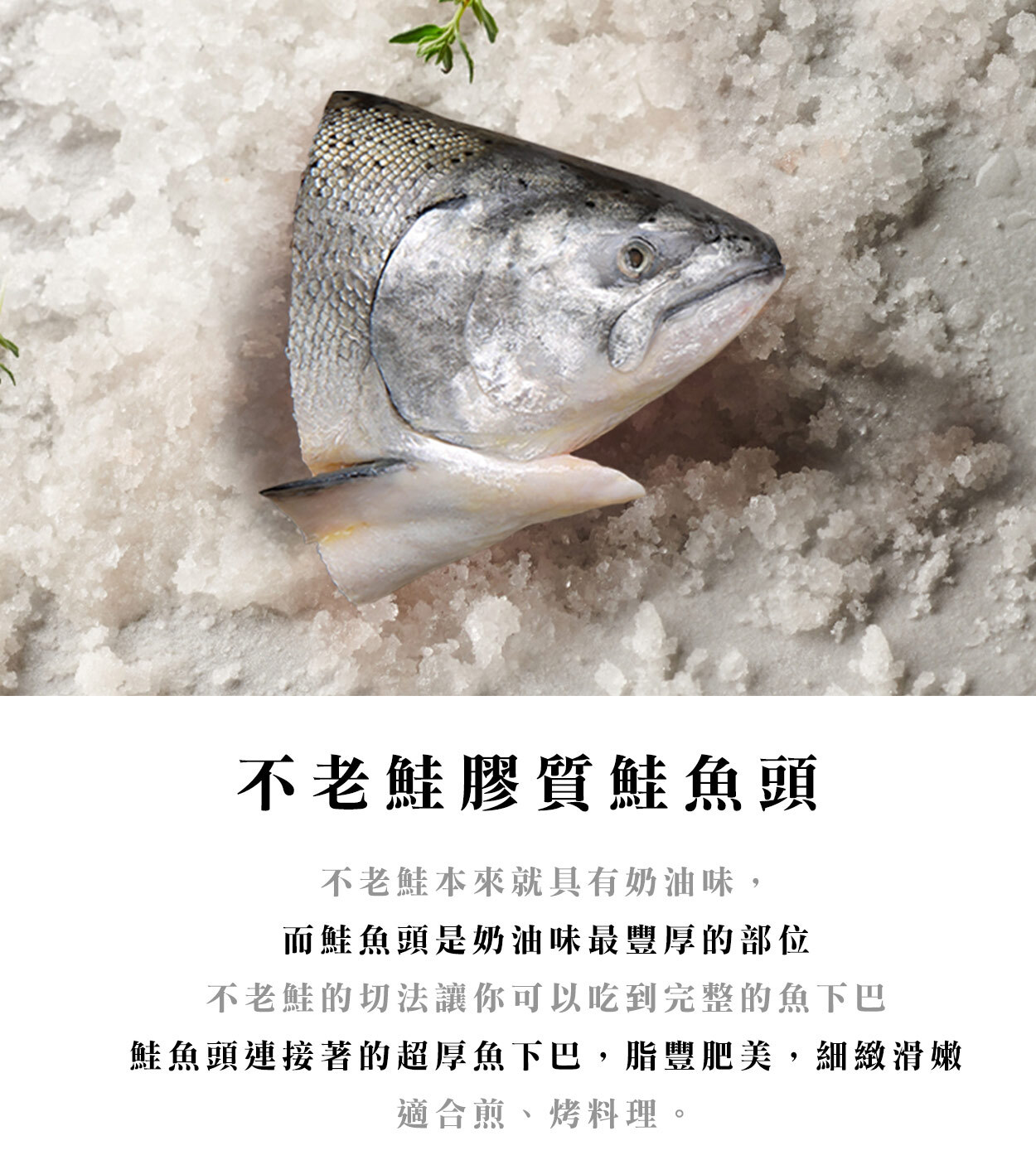 魚頭