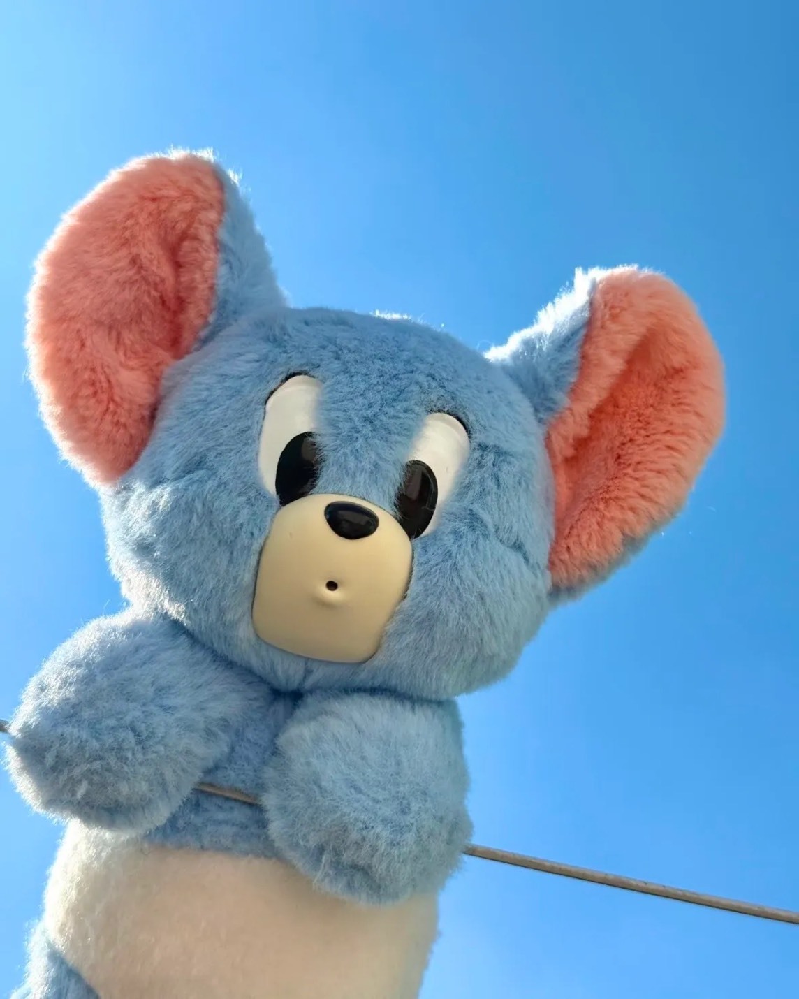 TOM＆JERRY 湯姆貓 傑利鼠 泰菲寶寶 毛絨 吊飾 五款