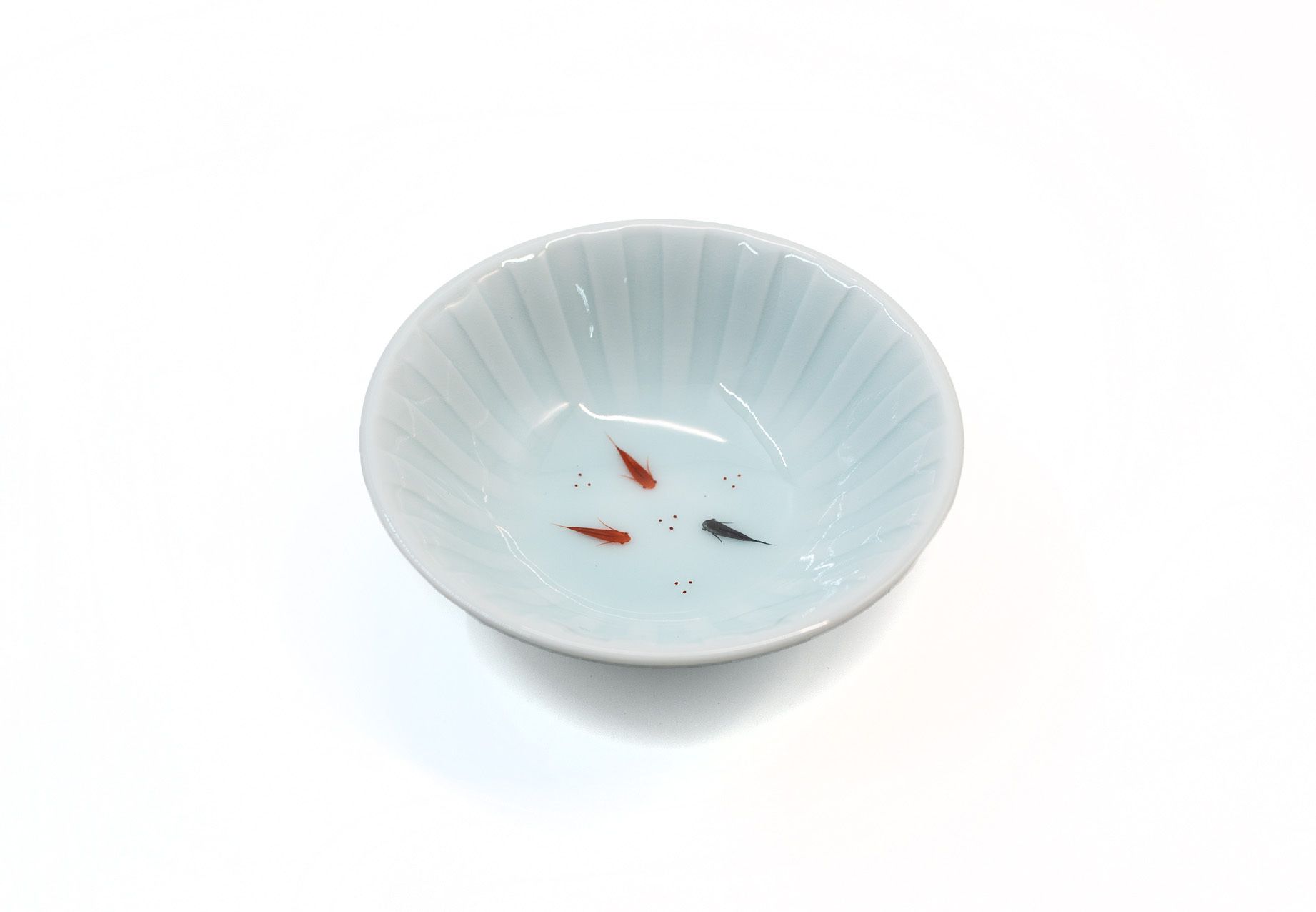 虎仙窯｜青白磁小魚紋十草小缽 13 cm
