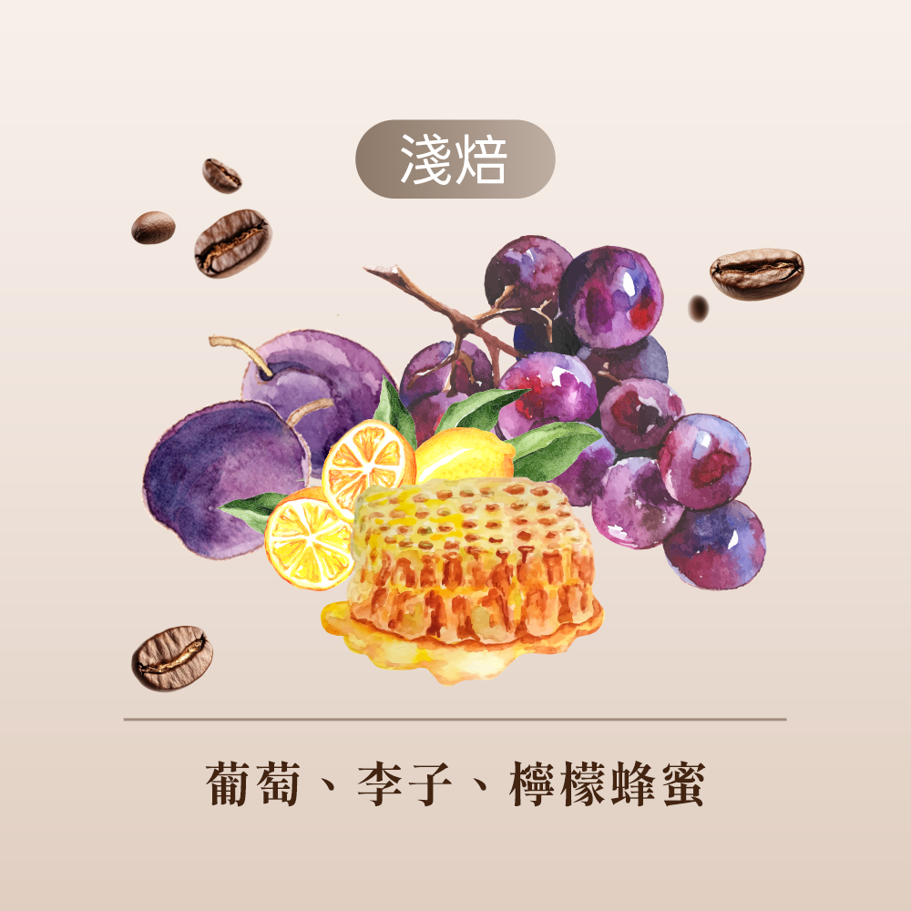 哥倫比亞 紫鑽藝伎