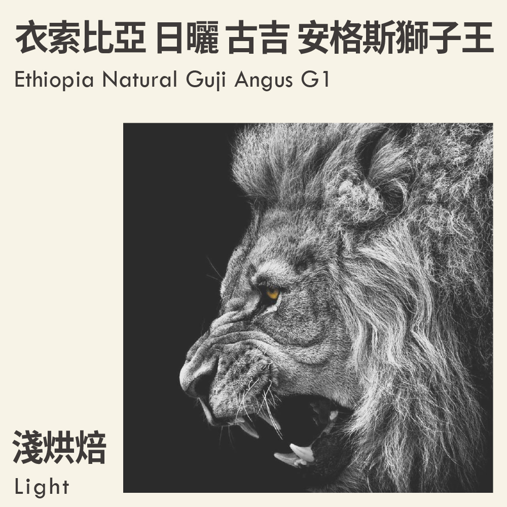 衣索比亞 日曬 古吉 安格斯獅子王 G1