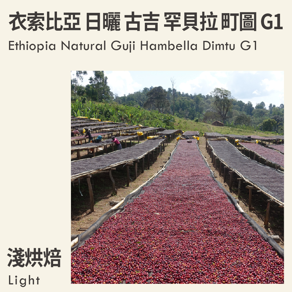 衣索比亞 日曬 古吉 罕貝拉 町圖 G1