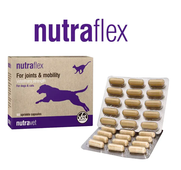 Nutravet - Nutraflex 貓狗用關節護理膠囊 每盒60粒裝