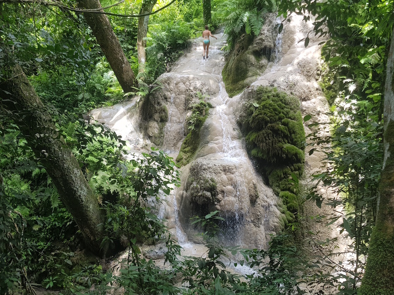 自然連結：與大地共振