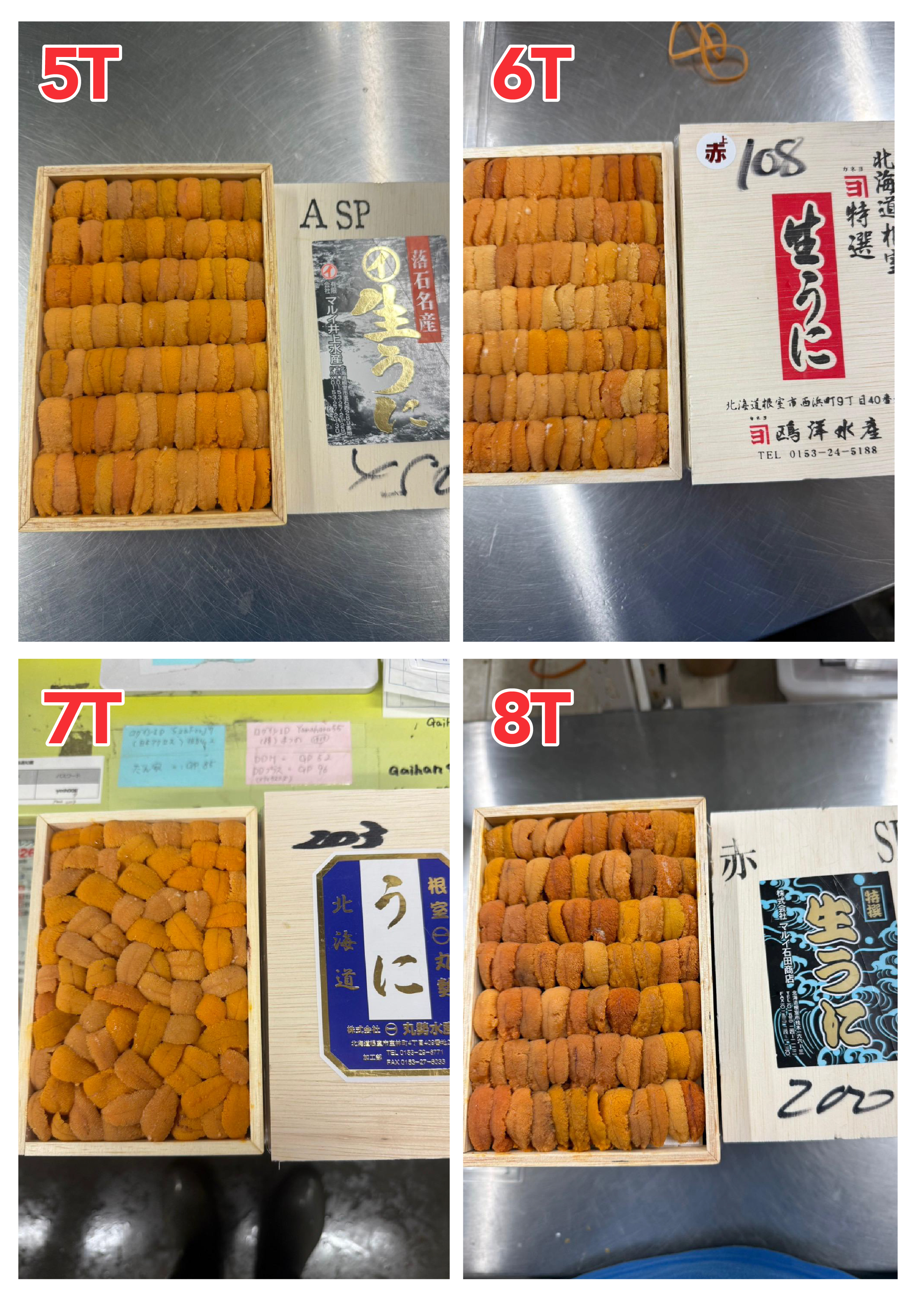 【指定海膽推薦】每天更新 (限即日落單, 翌日送)