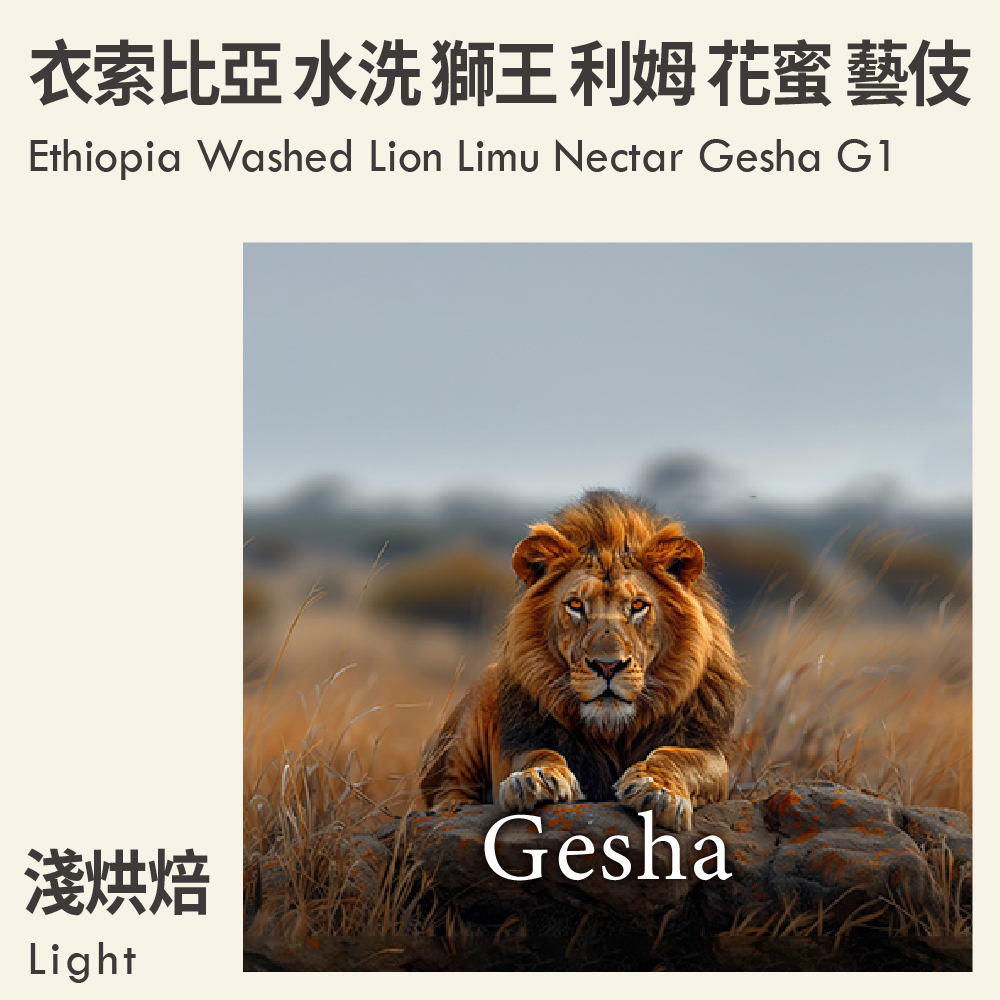 衣索比亞 水洗 獅王 利姆 花蜜 藝伎 G1