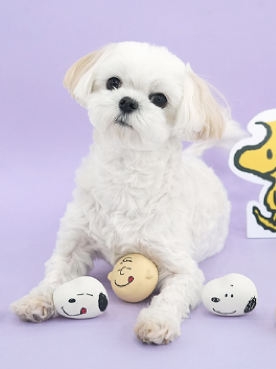 【Peanuts】史努比好搭檔造型乳膠發聲玩具
