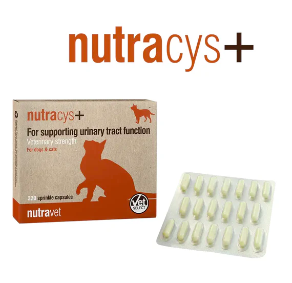 Nutravet - Nutracys+ 泌尿道功能營養膠囊 (貓狗合用) 220 粒裝