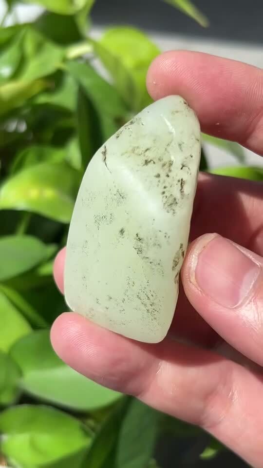 51871 和田玉油庫料旱籽原籽