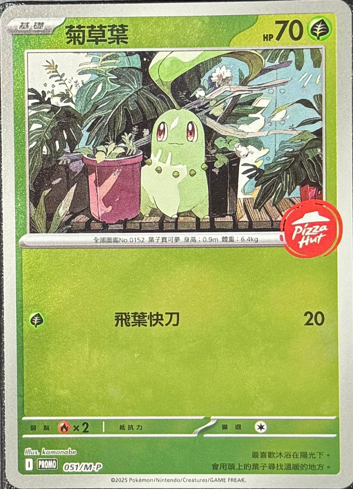 Pokemon TCG 繁中特典卡 - 051/M-P 菊草葉 (Pizza Hut)