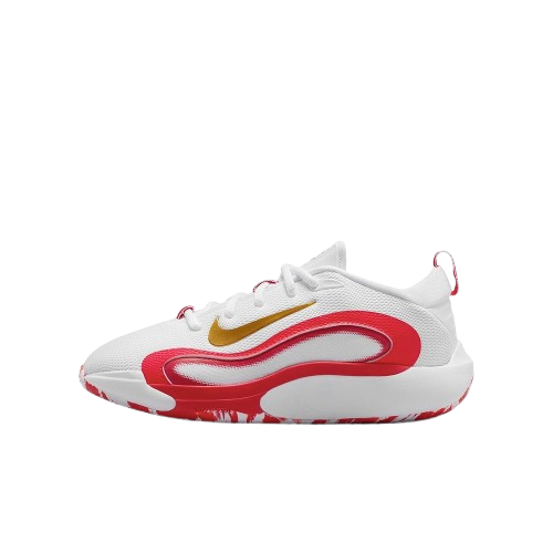 【官網限定】Nike IsoFly "Gold Star" 紅白 籃球鞋 大童鞋 FN4384-102 V