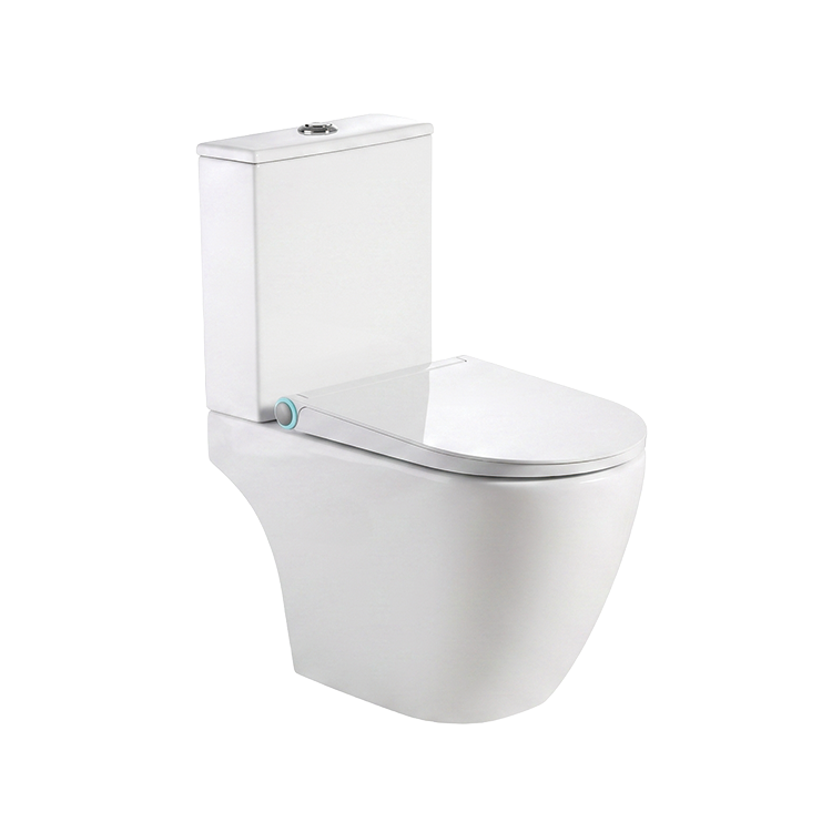 Vizio Close Coupled WC with Lite Smart Toilet Seat (VZ500101WT+VZ500309WT)