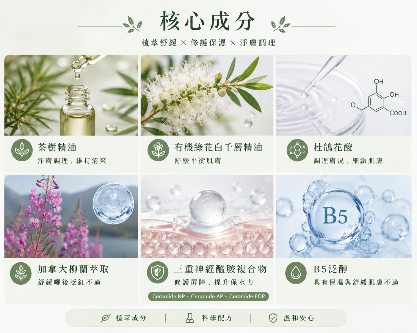 淨膚舒緩面膜 3盒組 (15片)