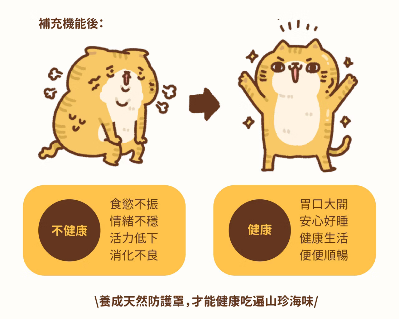 貓有話說 尋寶罐
