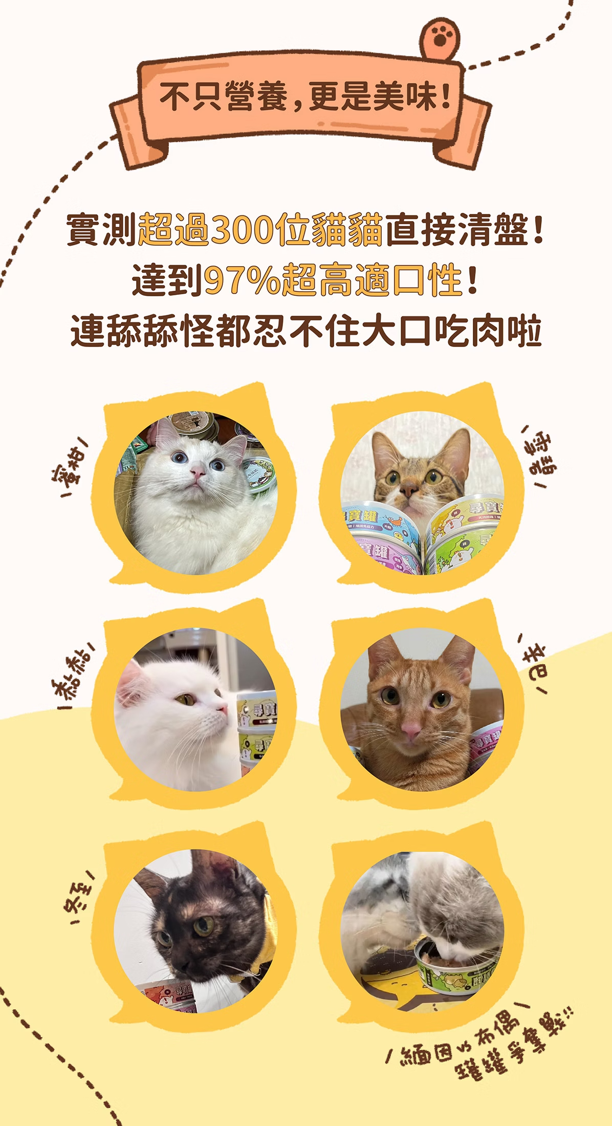貓有話說 尋寶罐