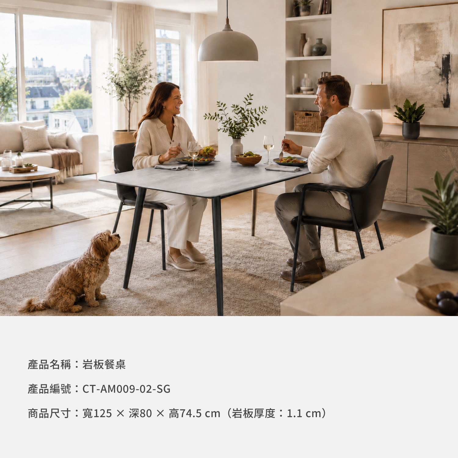 城市家居岩板餐桌商品資訊,型號CT-AM009-02-SG與尺寸規格