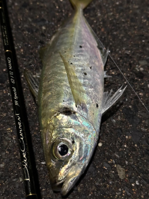 YAMAGA Blanks BlueCurrent TZ/NANO