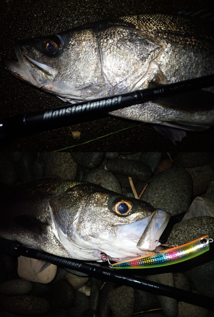 Ripple Fisher MonsterImpact