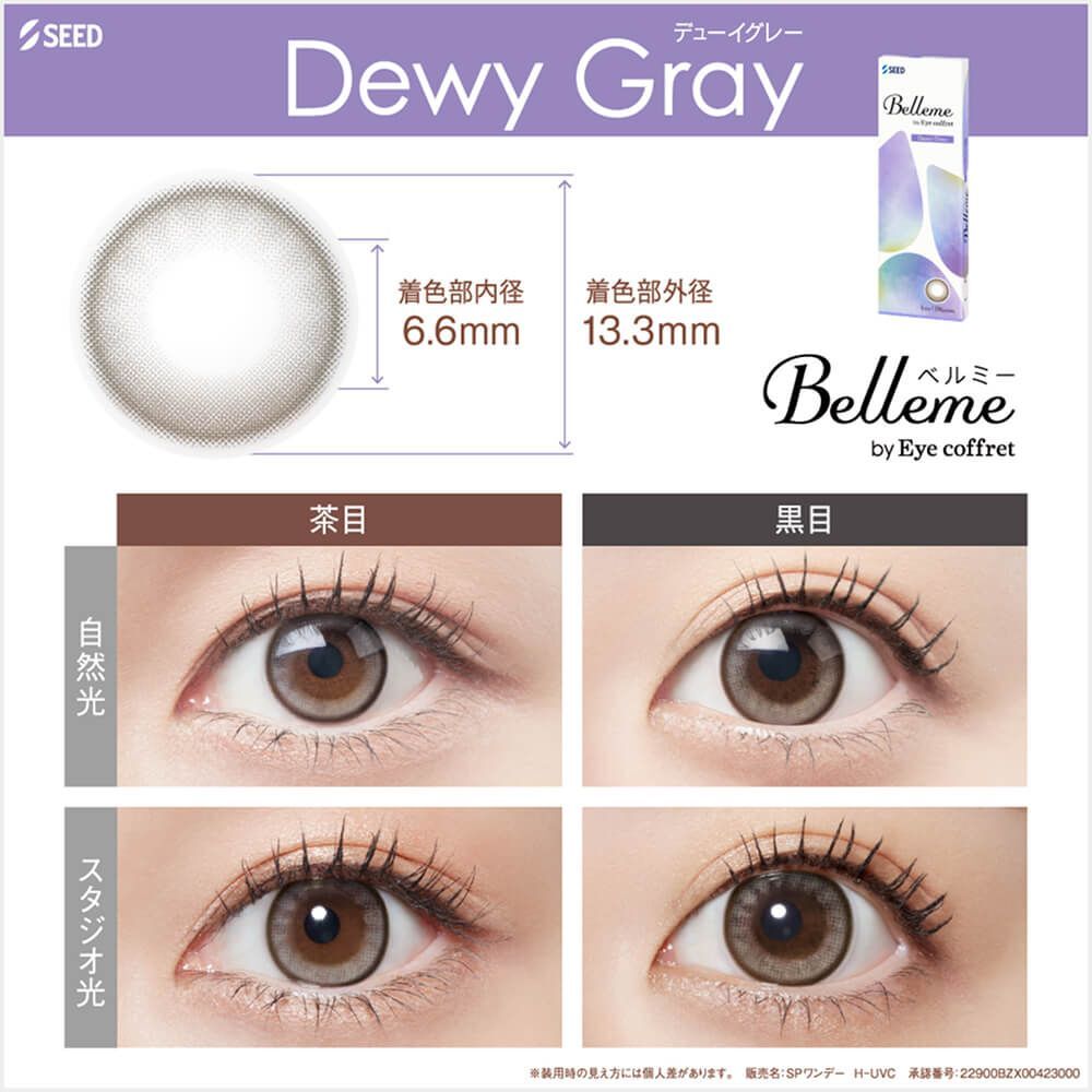 水光款 Belleme 1 Day by Eye Coffret (Dewy Gray)(10片)