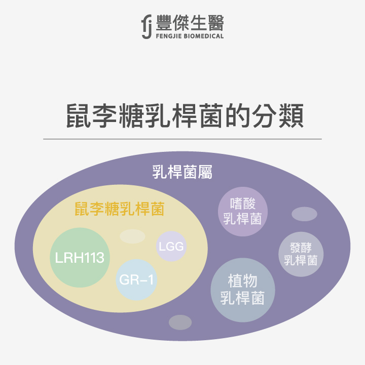 鼠李糖乳桿菌的分類